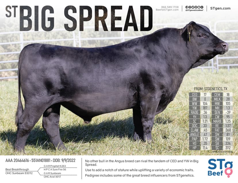 Preview of BigSpread